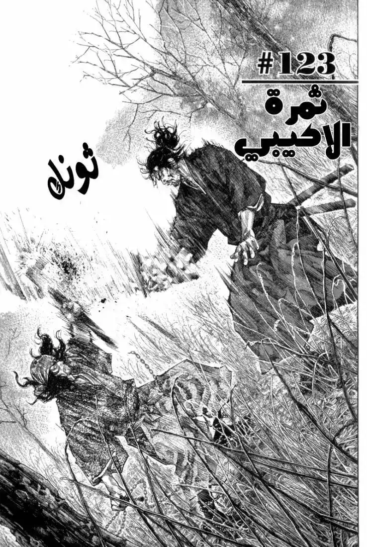 Vagabond 123 - Akebi Fruit página 2
