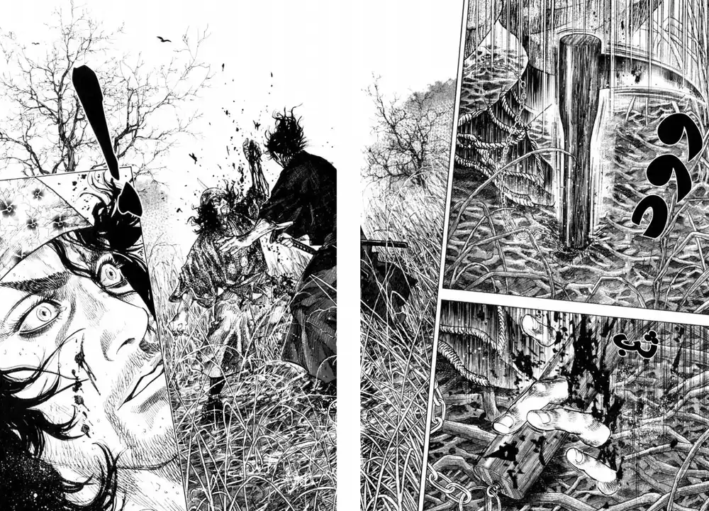 Vagabond 123 - Akebi Fruit página 3