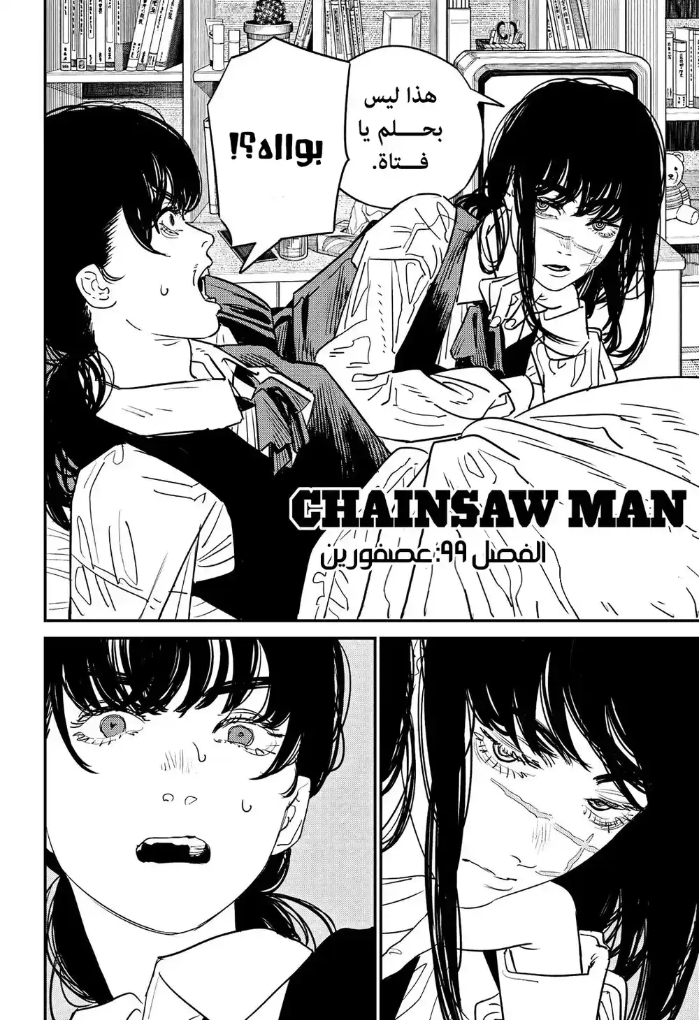 Chainsaw Man 99 - عصفوران página 3