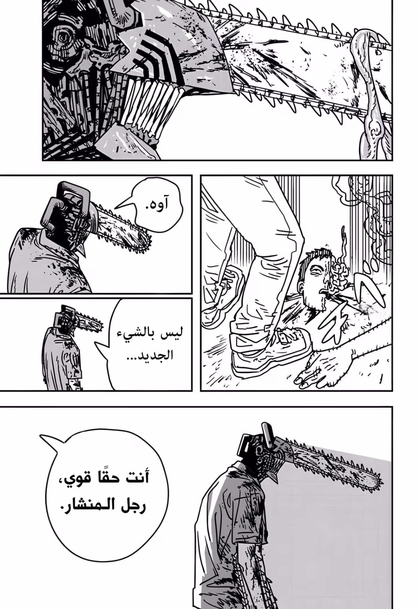 Chainsaw Man 204 página 13