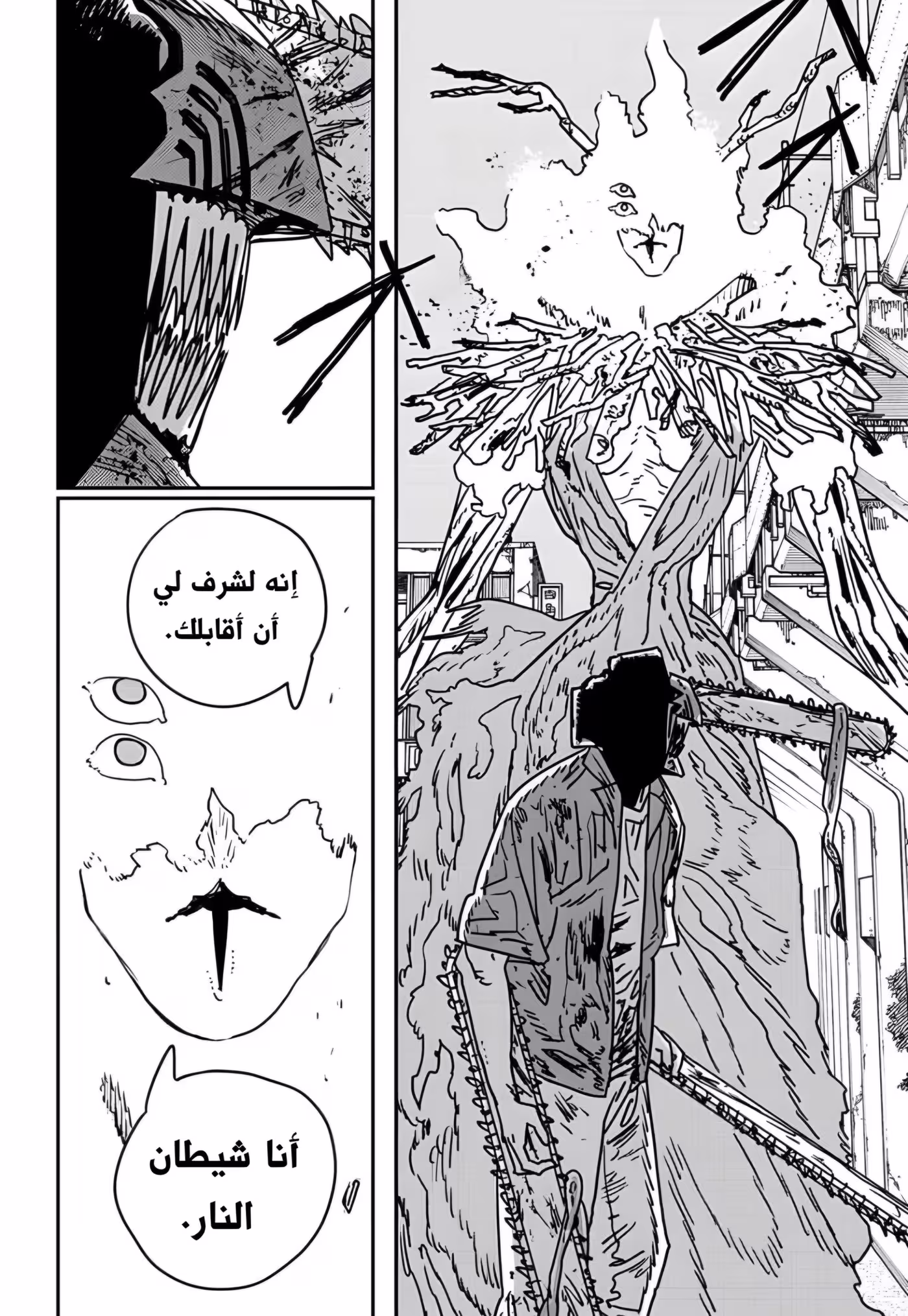 Chainsaw Man 204 página 14