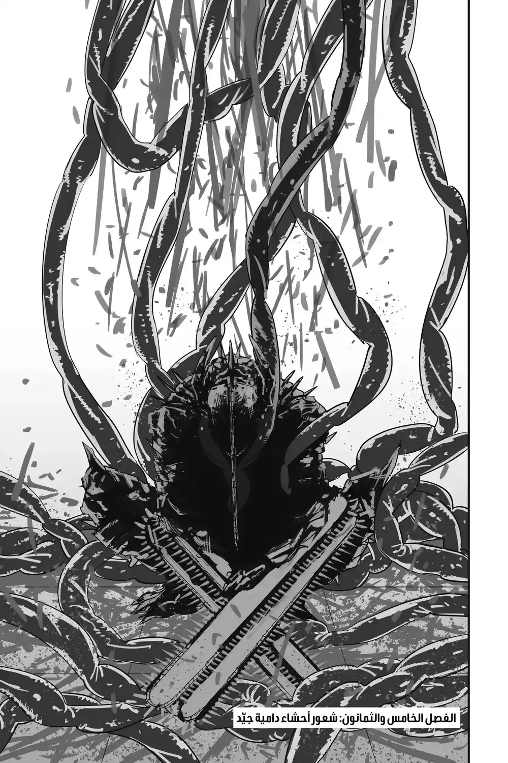 Chainsaw Man 85 página 2