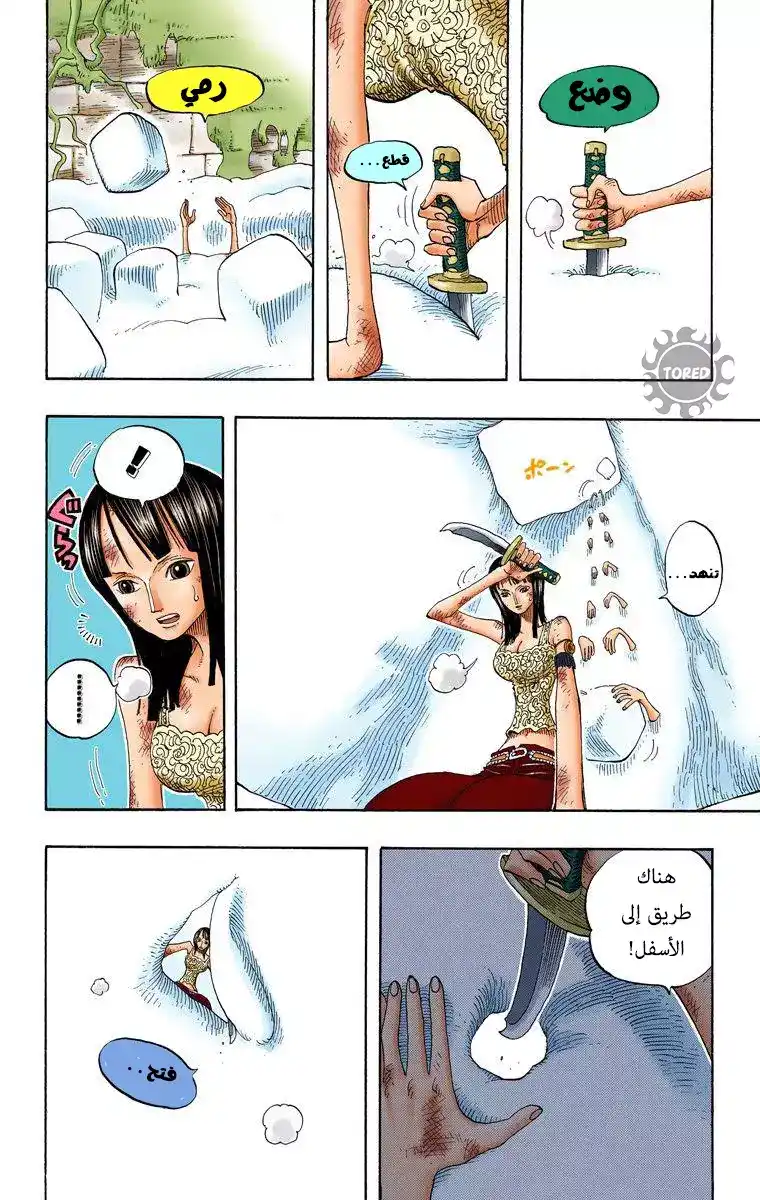 One Piece 268 - جناح página 10