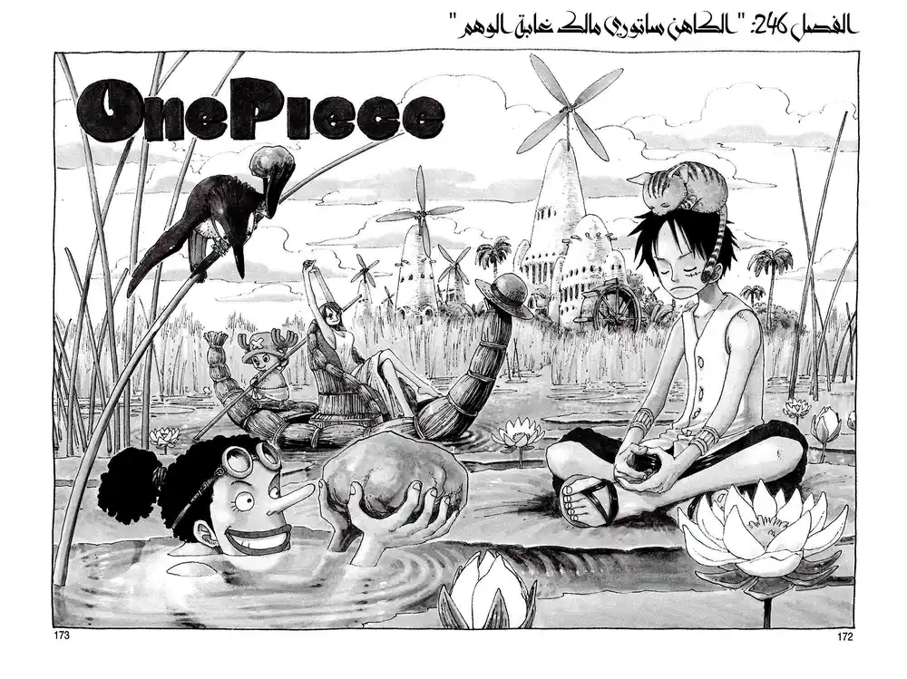 One Piece 246 - Priest Satori of the Forest of Illusion página 3