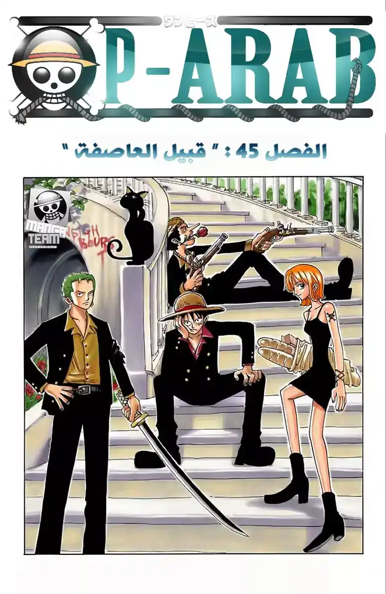 One Piece 45 - قبل العاصفة página 2