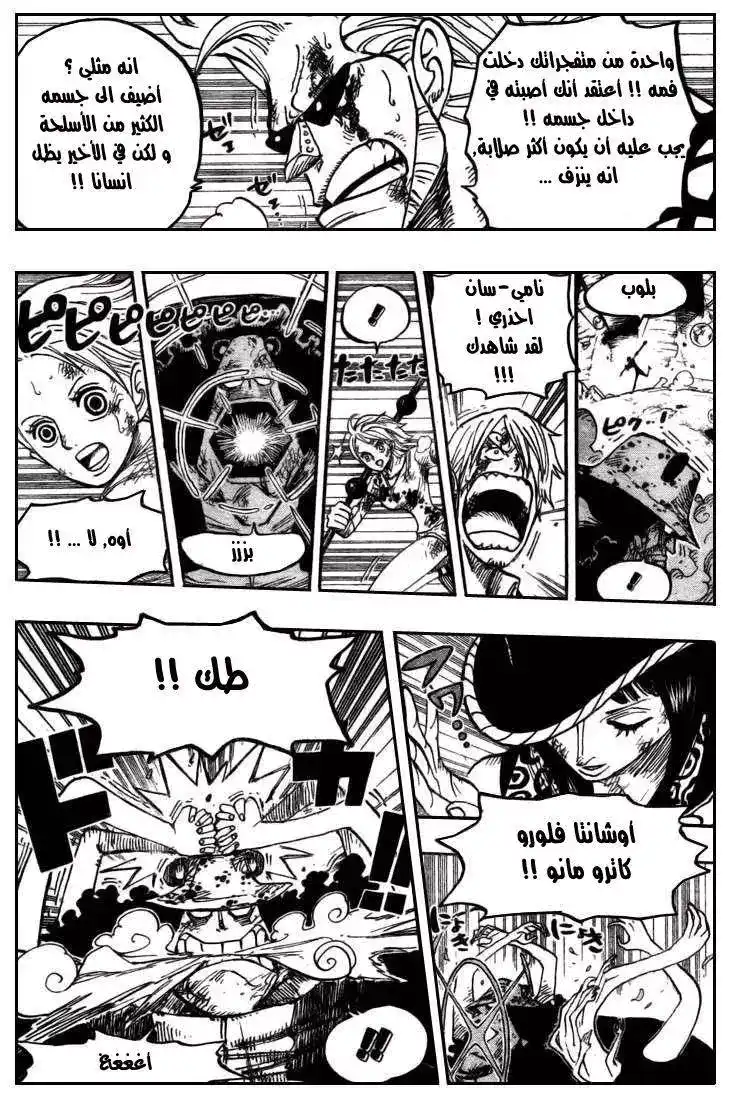 One Piece 510 - طاقم قبعة القش ضد السلاح المدمر página 14