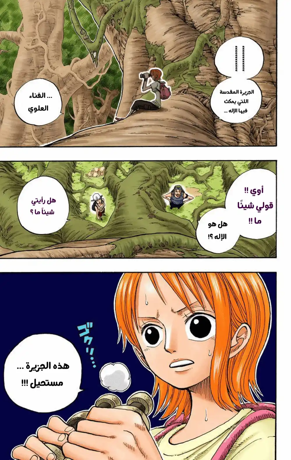 One Piece 249 - القرية المخفية في السحب página 13