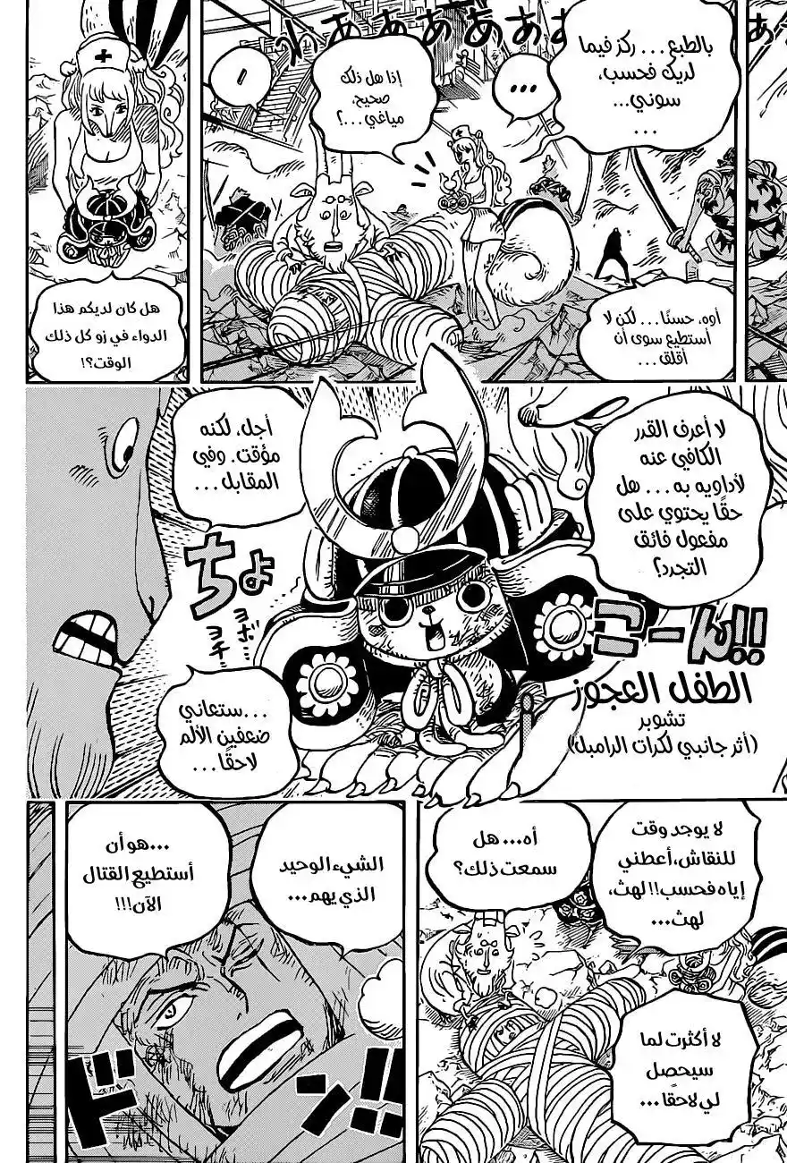 One Piece 1017 - أوامر página 13