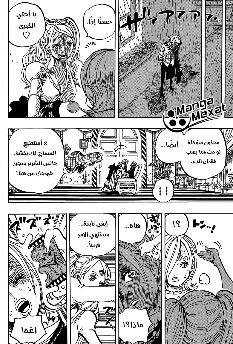 One Piece 851 - انقطاع الأمل página 13