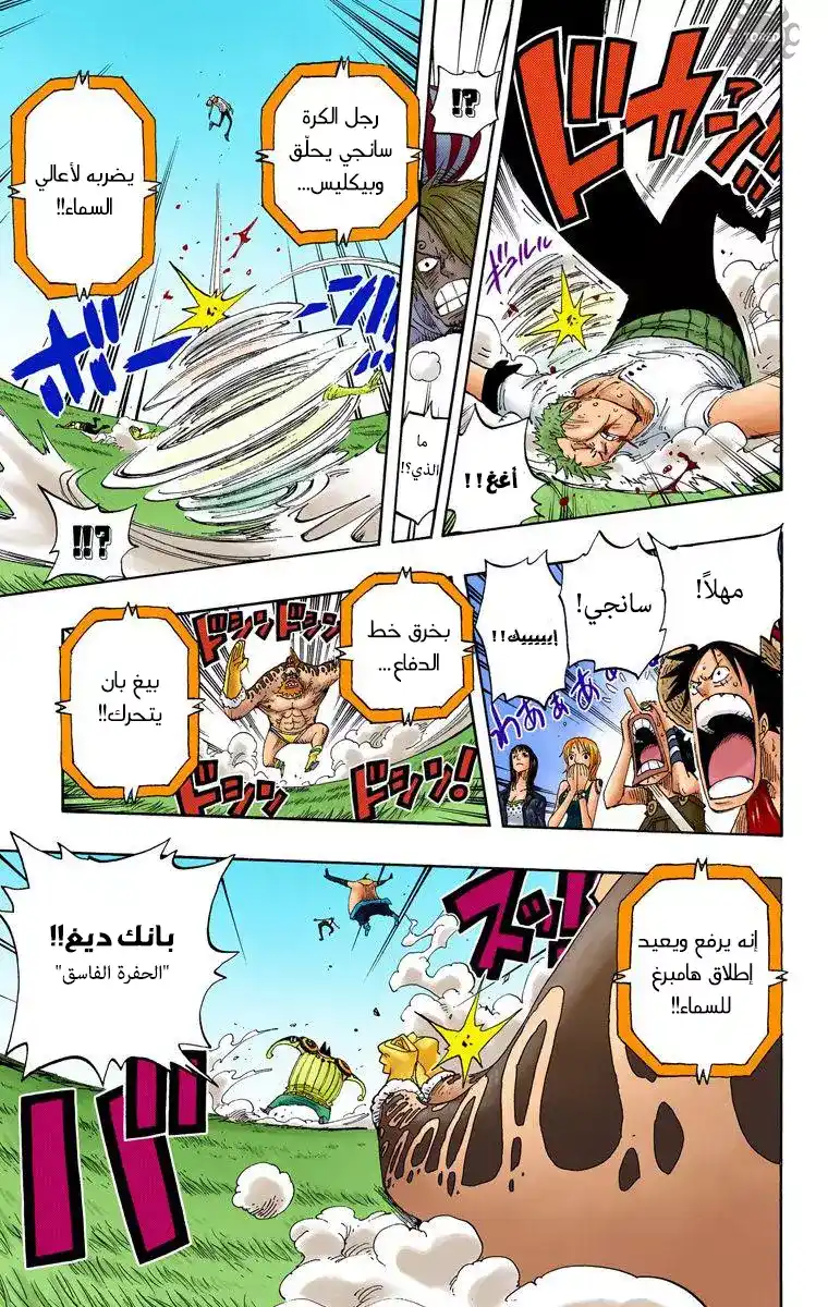 One Piece 310 - الحلقة المترنحة página 14