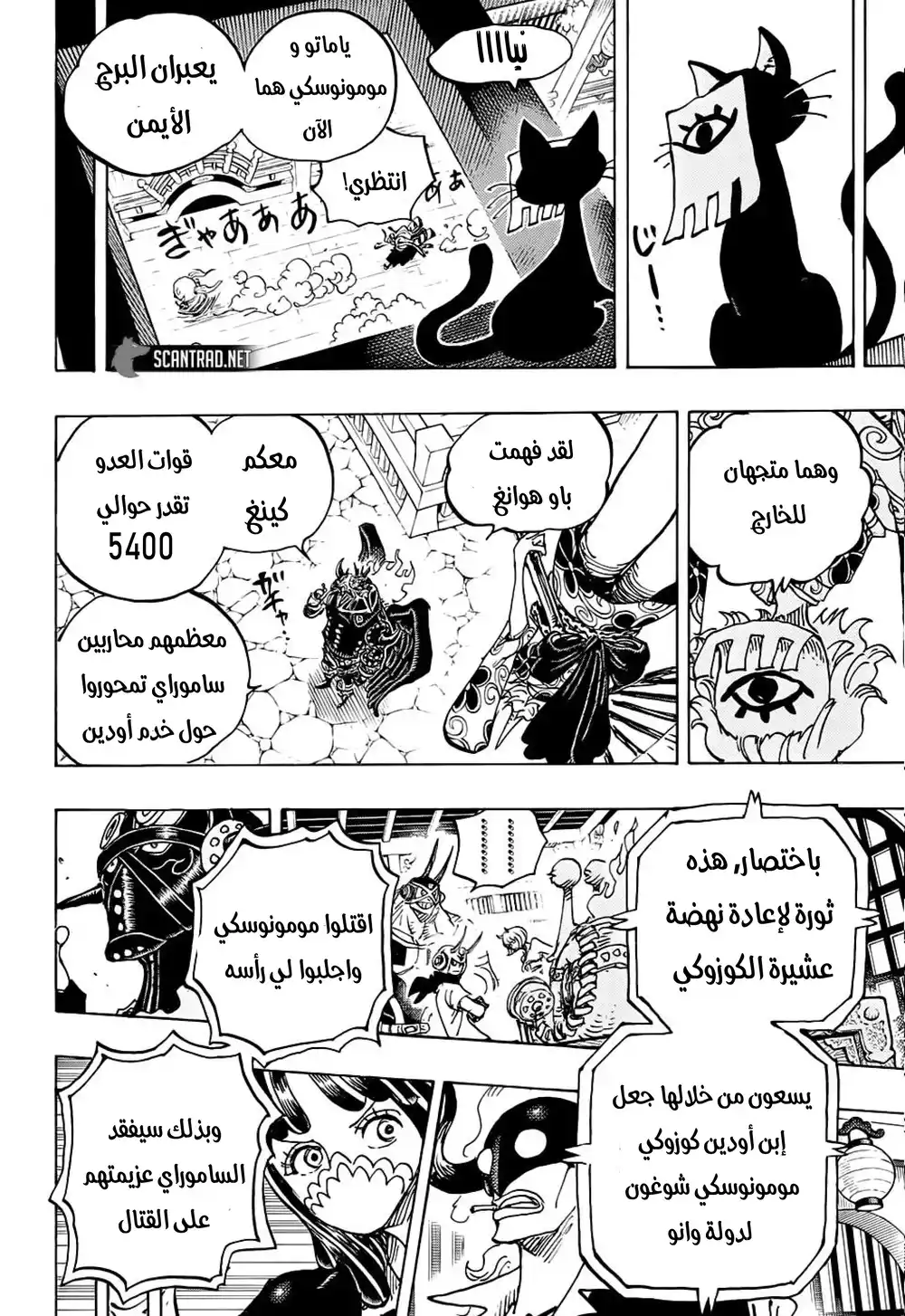 One Piece 993 - حلم وانو página 11