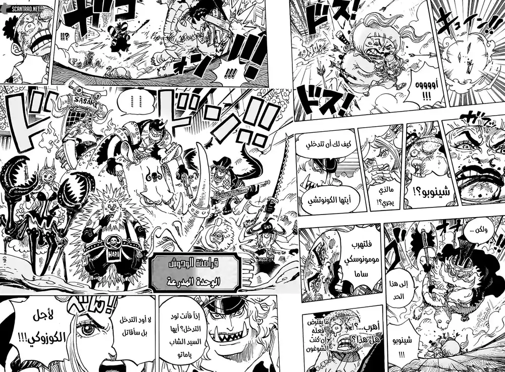 One Piece 993 - حلم وانو página 13