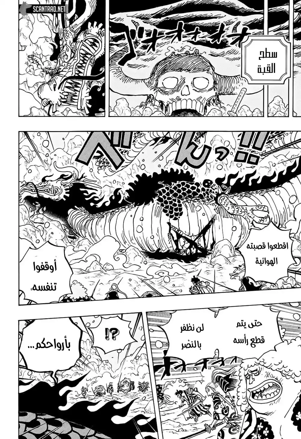 One Piece 993 - حلم وانو página 14