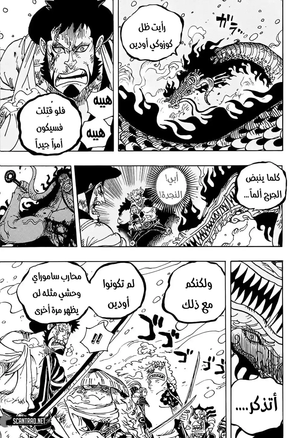 One Piece 993 - حلم وانو página 15