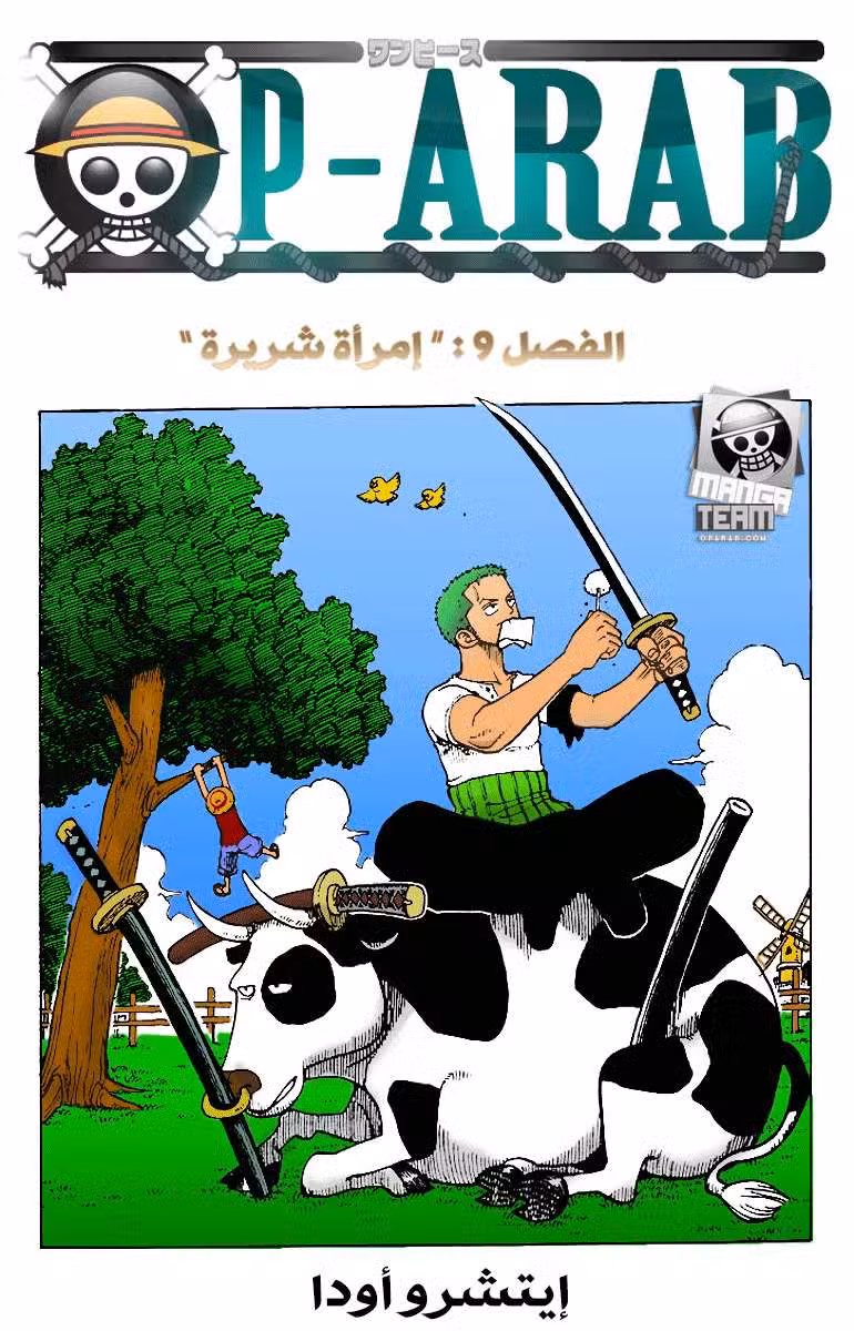 One Piece 09 امرأة شريرة página 1