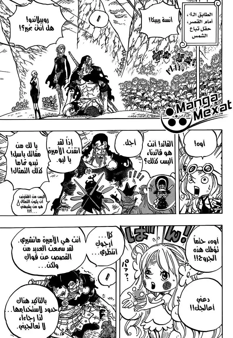 One Piece 779 - المعركة الأخيرة página 7