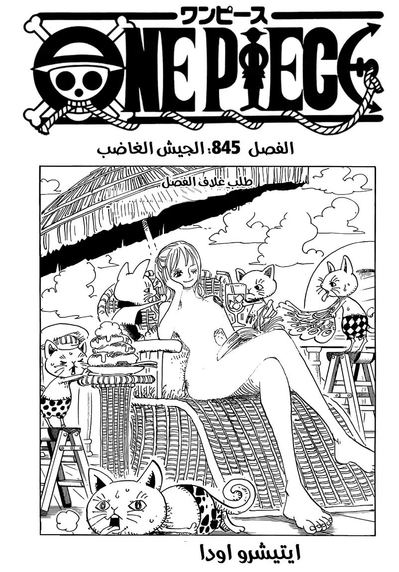 One Piece 845 - الجيش الغاضب página 2
