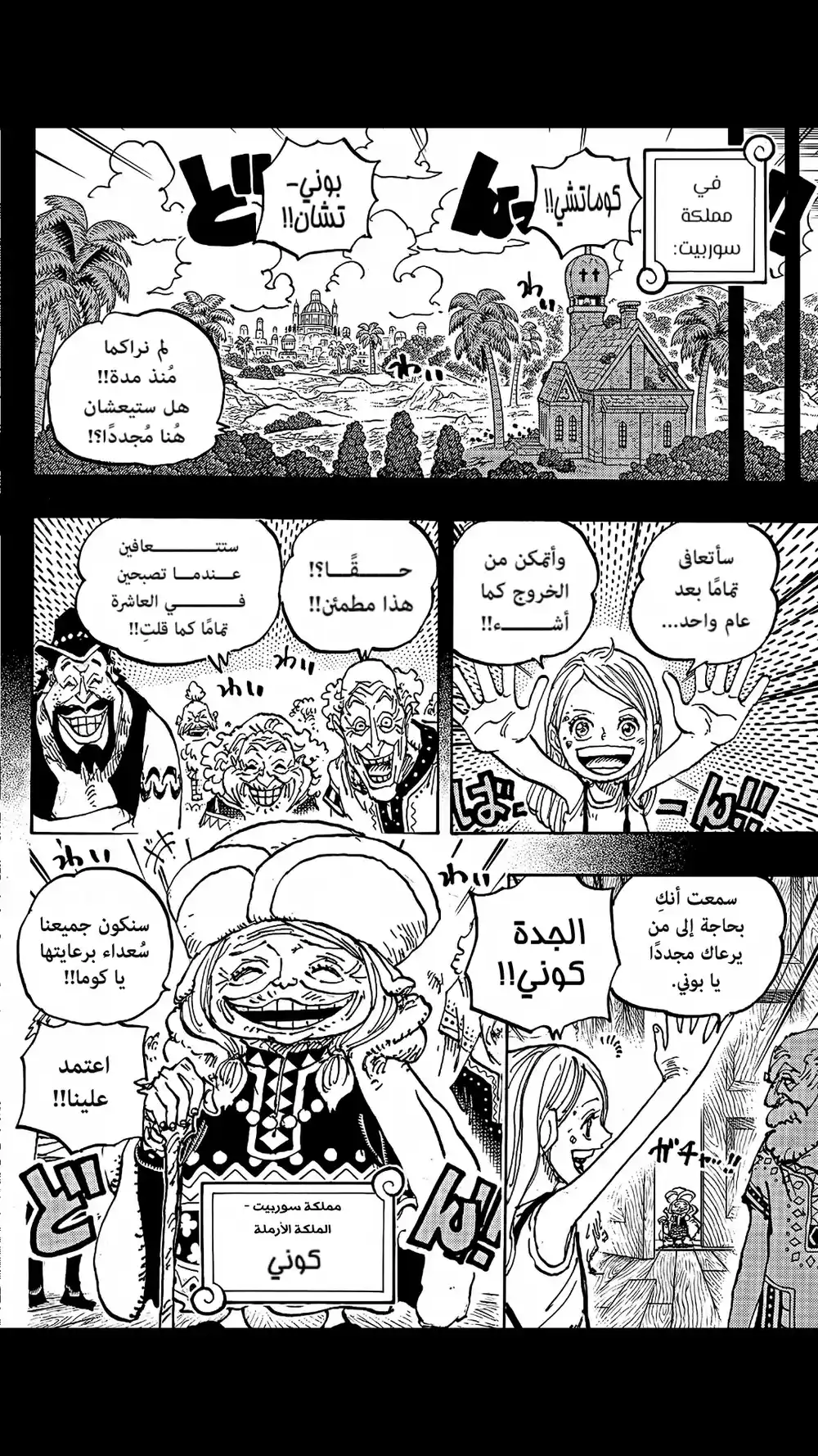 One Piece 1100 - شكرا لك بوني página 12