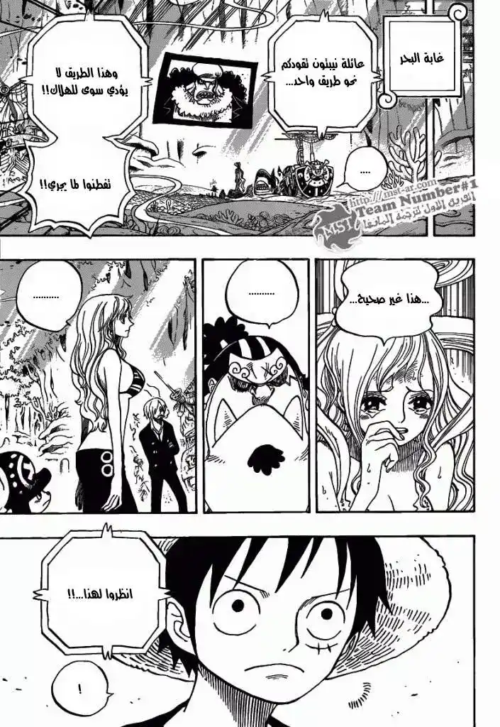 One Piece 628 - تطهير página 8