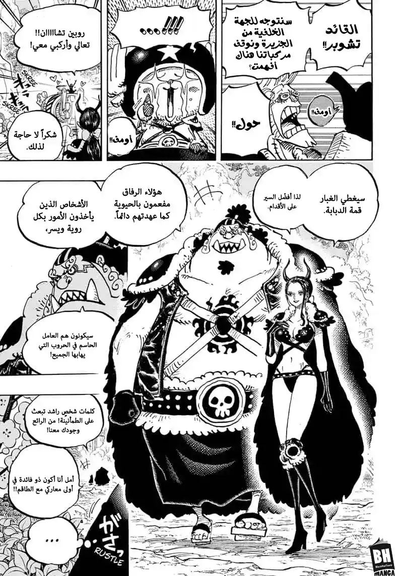 One Piece 979 - مشاكل أسريّة página 10