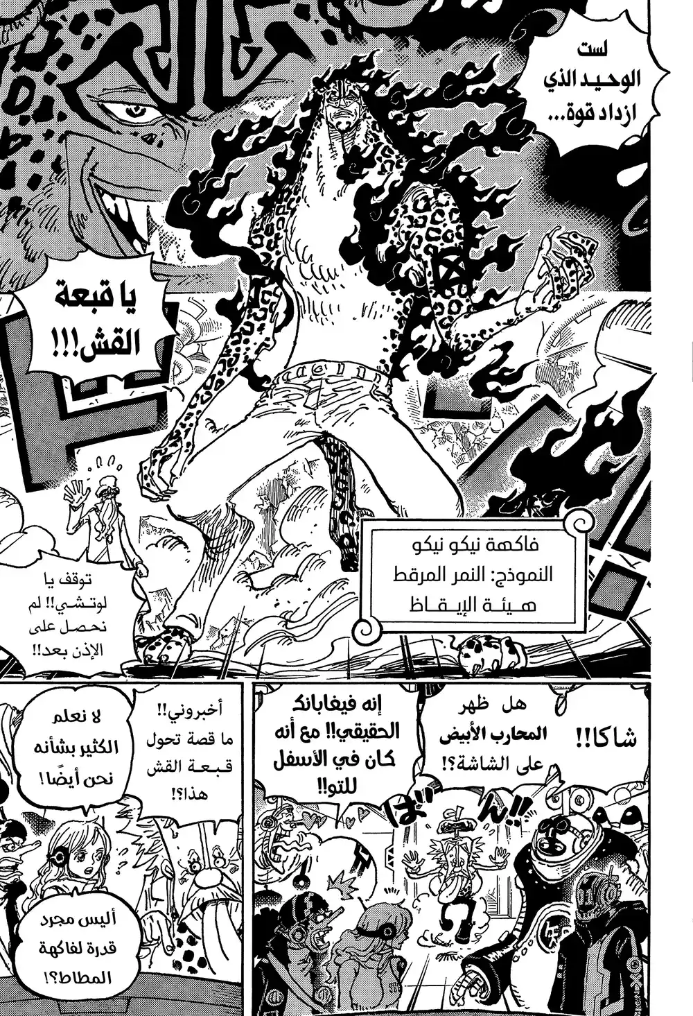 One Piece 1069 - من رحم الرغبات تولد الأشياء página 8