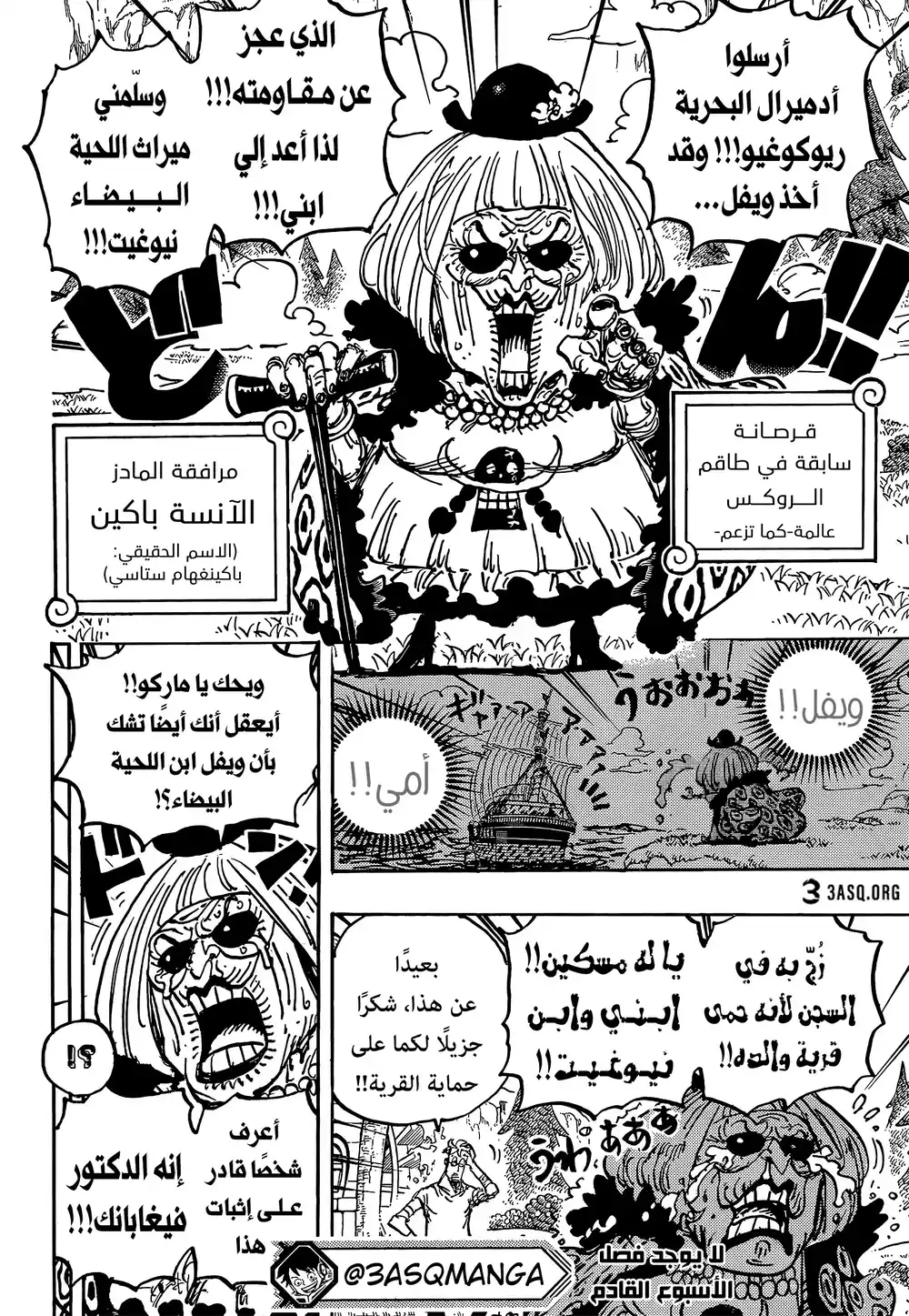 One Piece 1073 - الآنسة باكينغهام ستوسي página 14