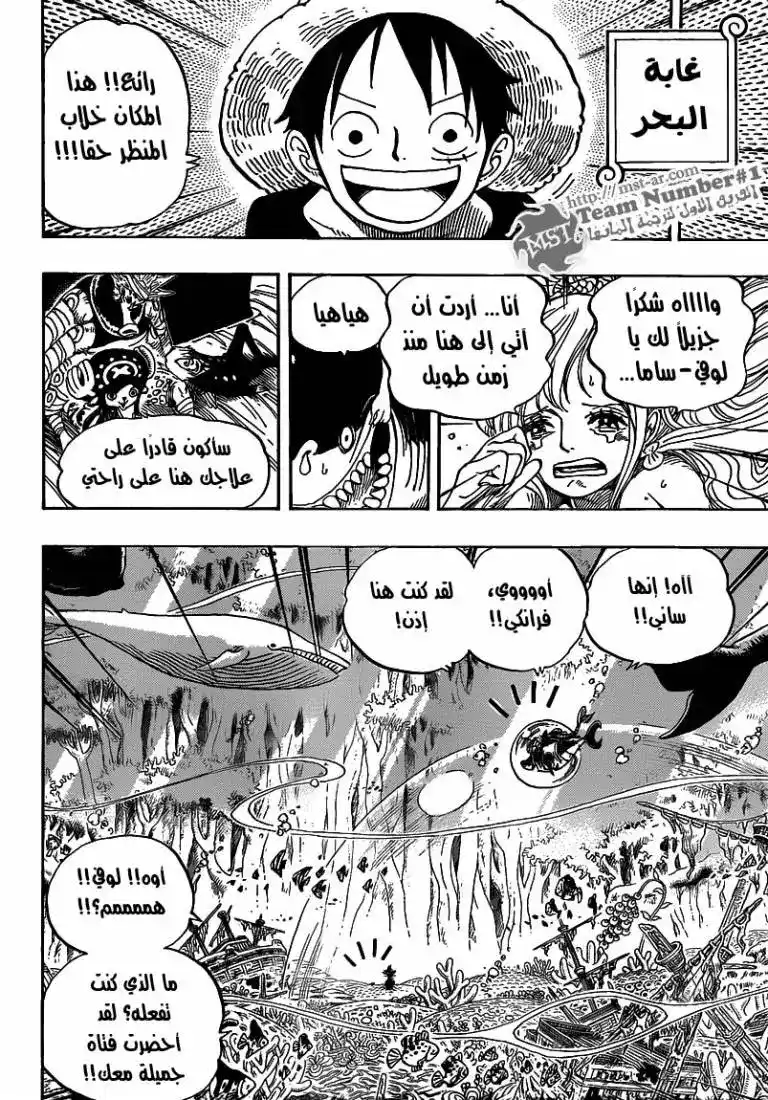 One Piece 619 - الى غابة البحر página 8