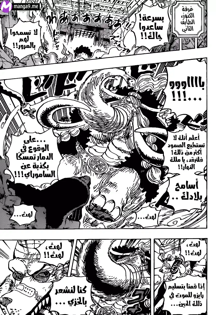 One Piece 1023 - متشابهان página 13