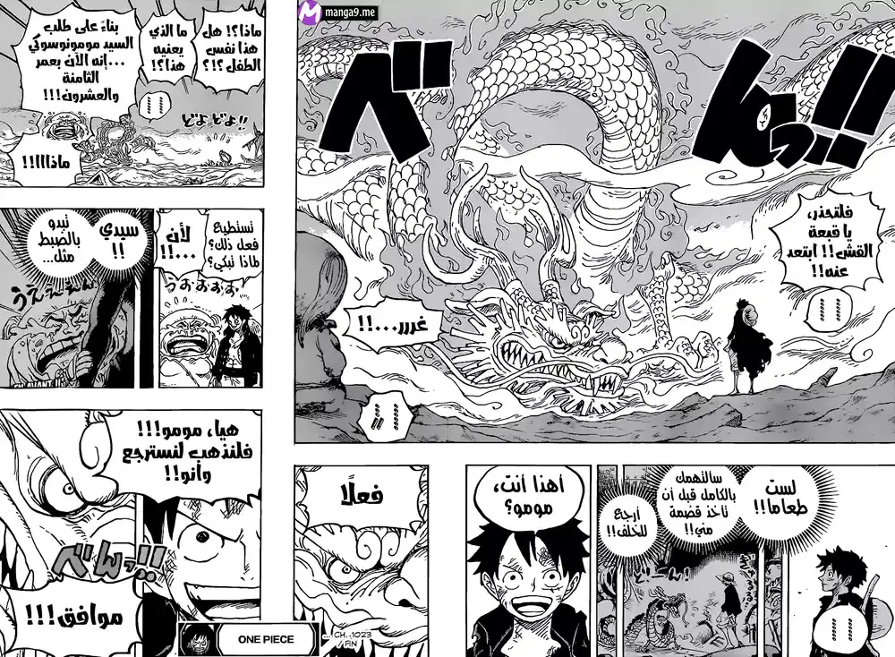 One Piece 1023 - متشابهان página 18