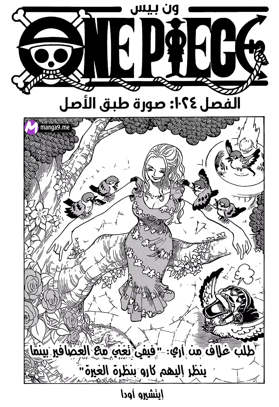 One Piece 1023 - متشابهان página 3