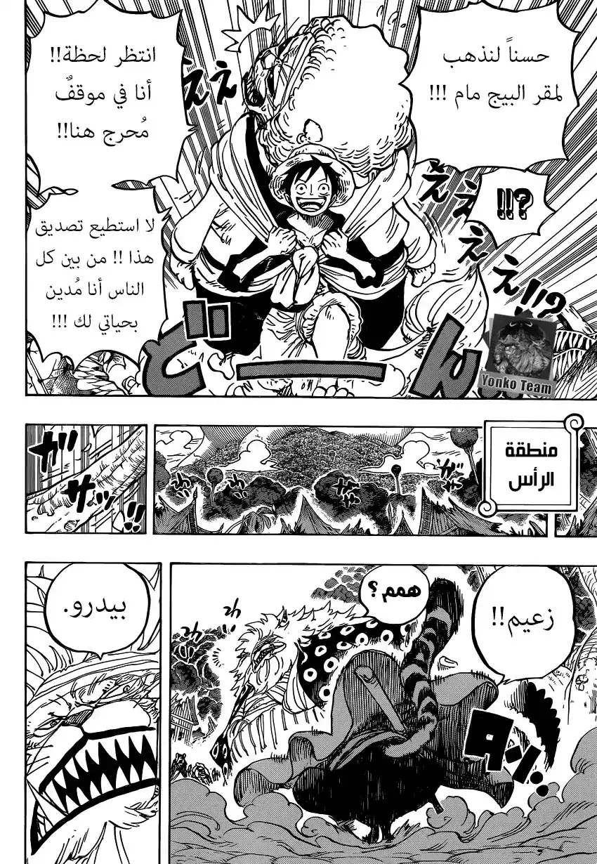 One Piece 822 - الهبوط من الفيل página 9