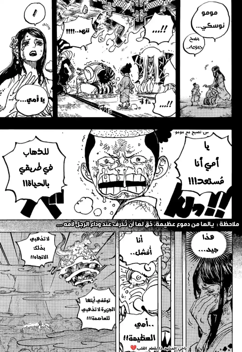 One Piece 1047 - سماء العاصمة página 4