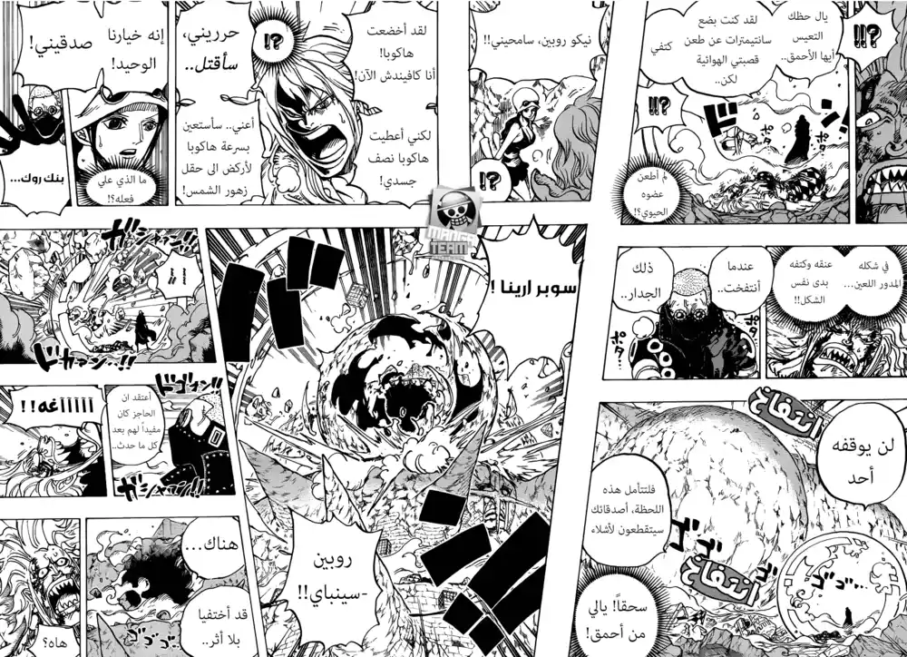 One Piece 773 - المناصفة página 15