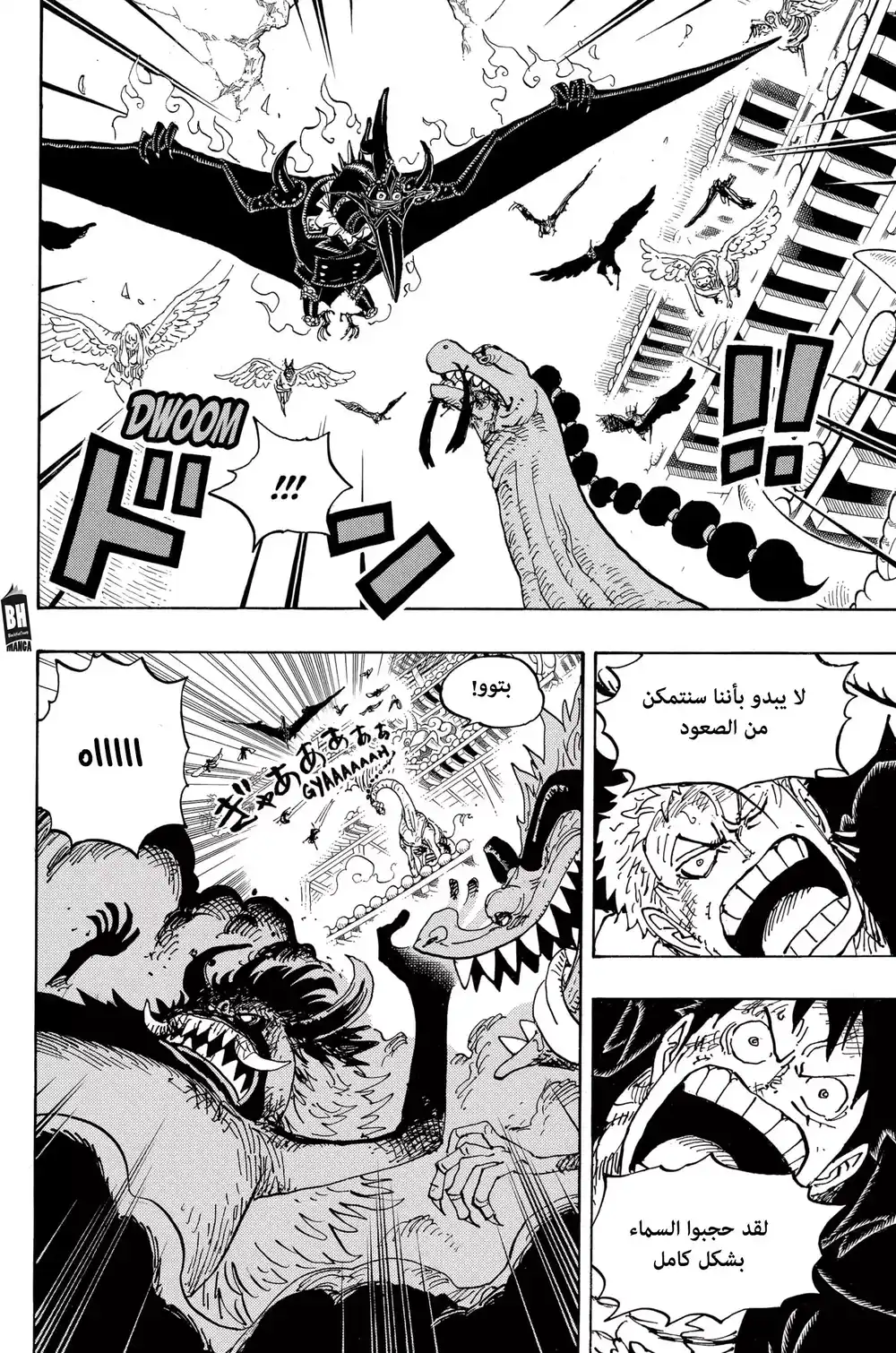 One Piece 989 - لا أشعر أننا سنخسر página 13