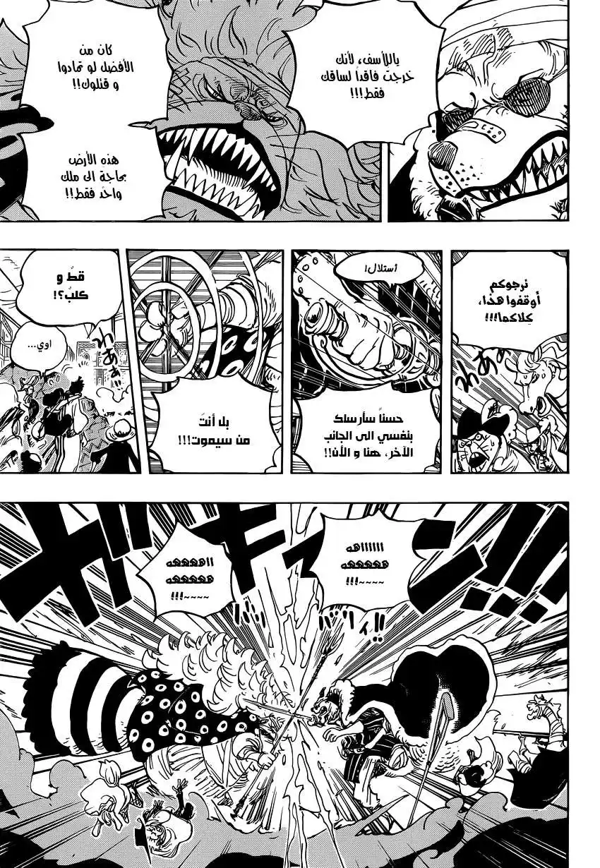 One Piece 816 - كلب ضدّ قطّ página 12