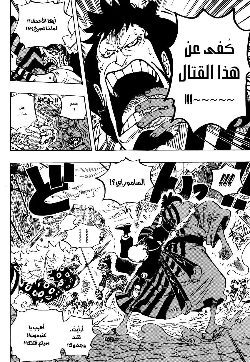 One Piece 816 - كلب ضدّ قطّ página 13