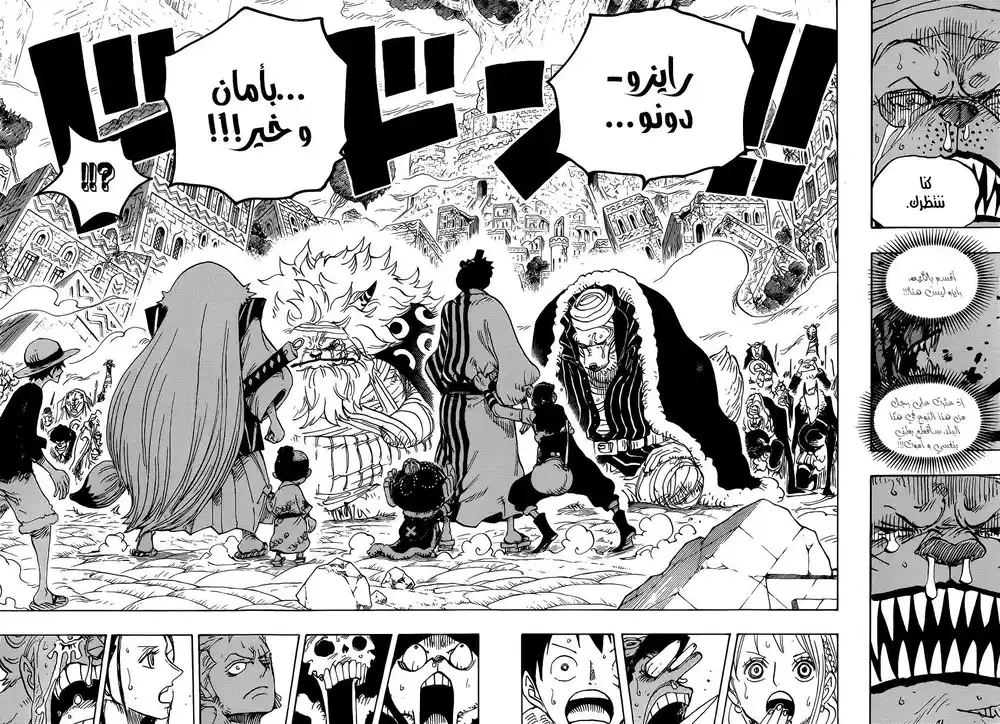 One Piece 816 - كلب ضدّ قطّ página 15