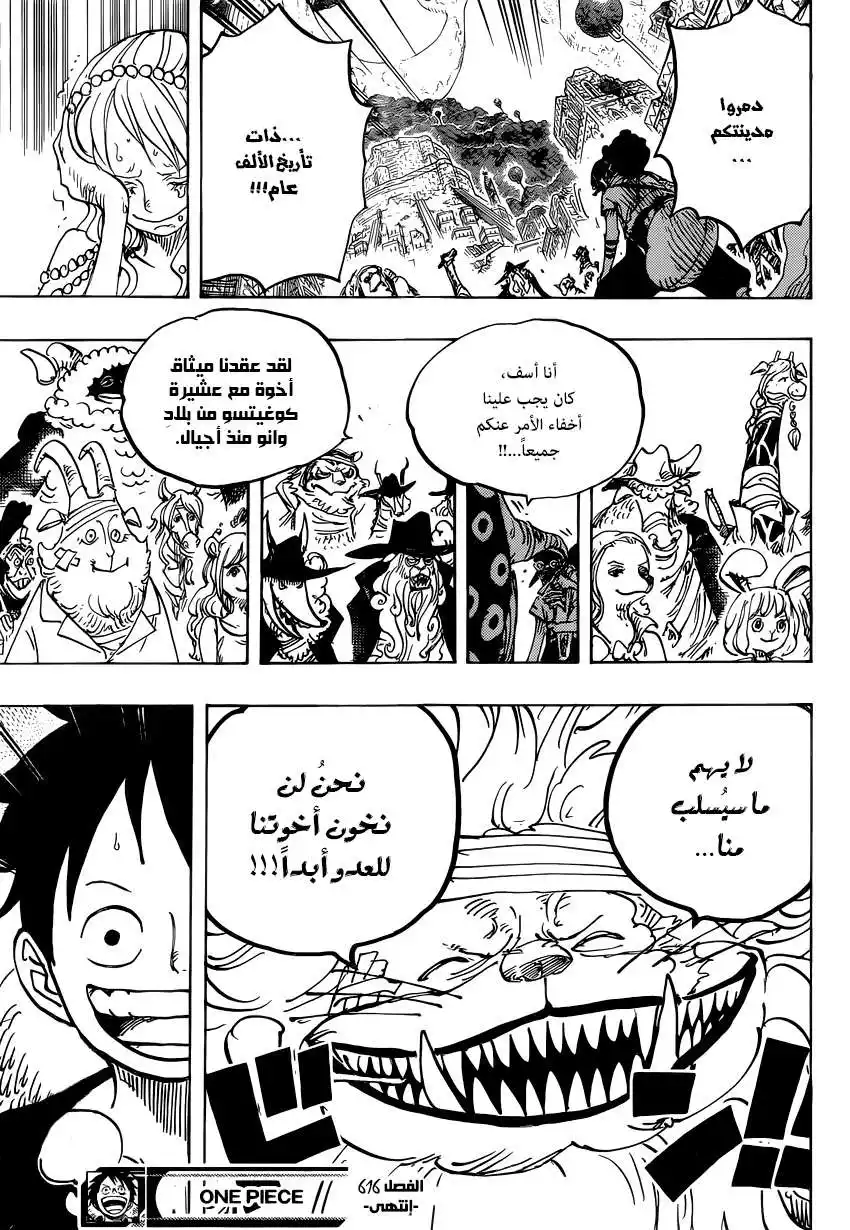 One Piece 816 - كلب ضدّ قطّ página 17