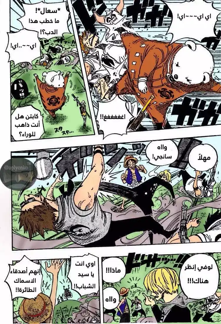 One Piece 505 - كوما página 13