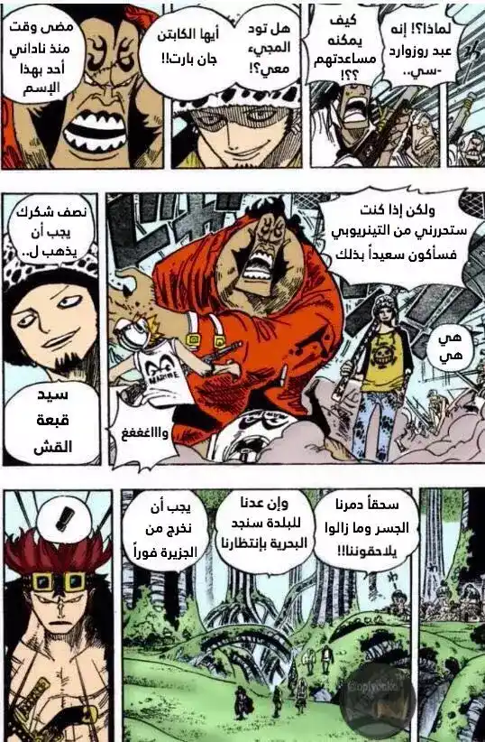 One Piece 505 - كوما página 17