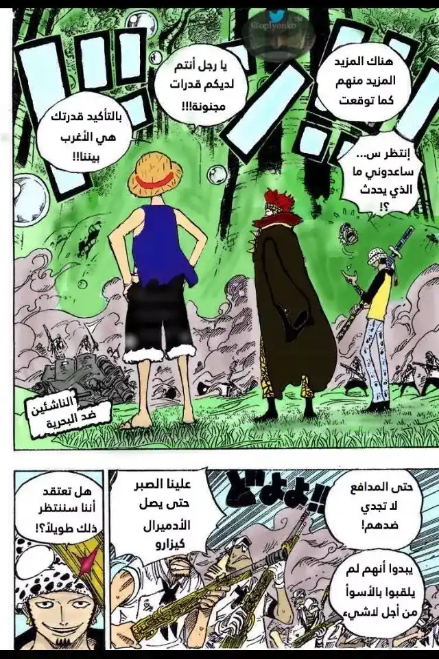 One Piece 505 - كوما página 2