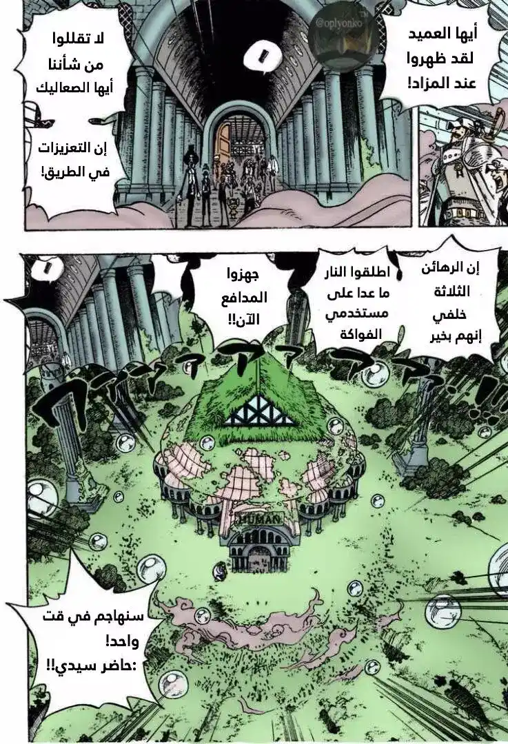 One Piece 505 - كوما página 9