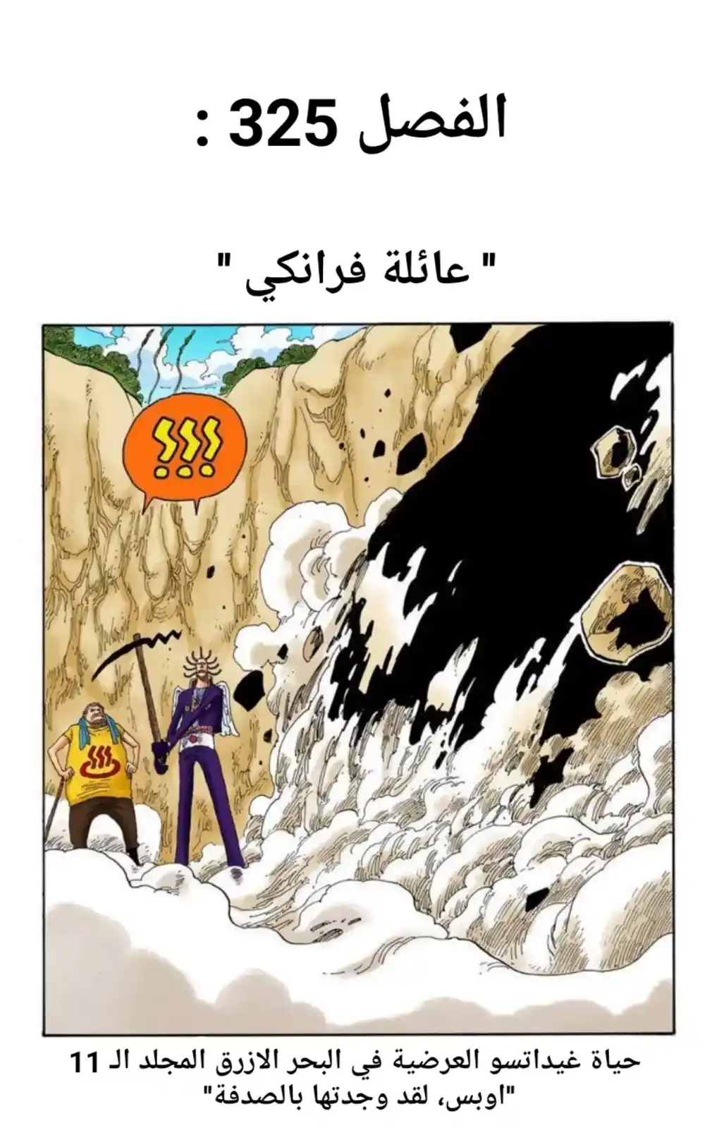 One Piece 325 - عائلة فرانكي página 1