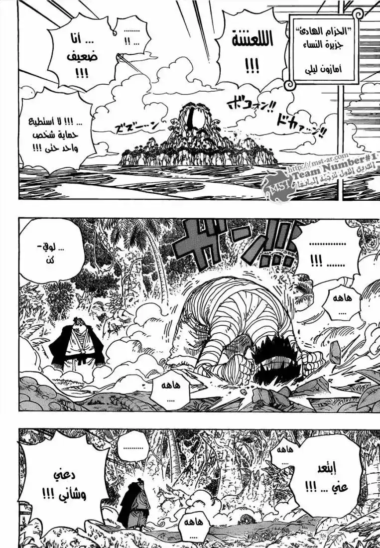 One Piece 590 - اخي الصغير página 10