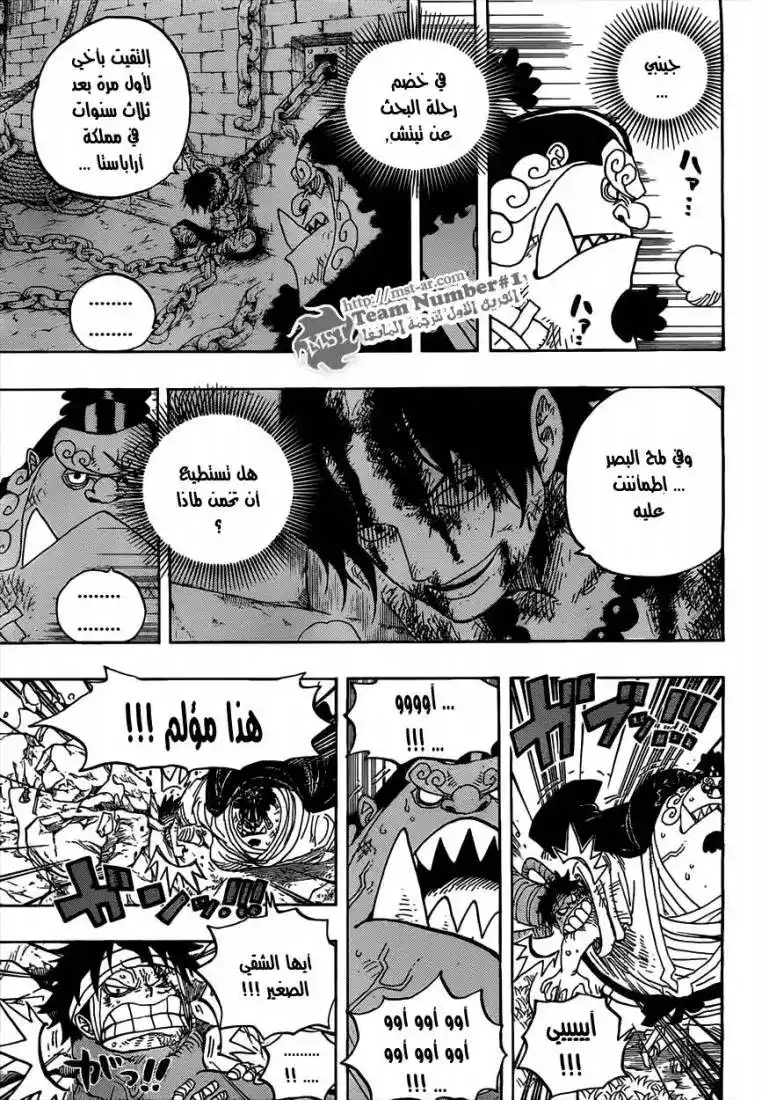 One Piece 590 - اخي الصغير página 13