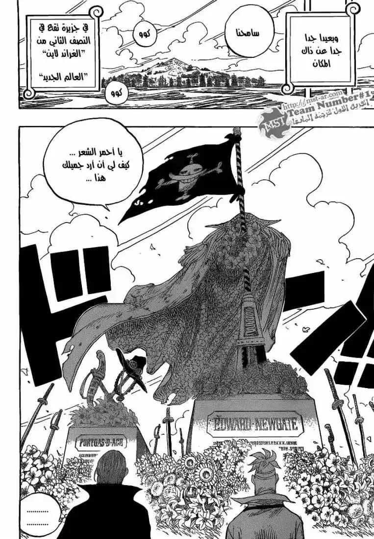 One Piece 590 - اخي الصغير página 8