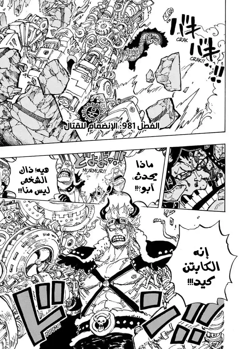 One Piece 981 - الإلتحام página 3