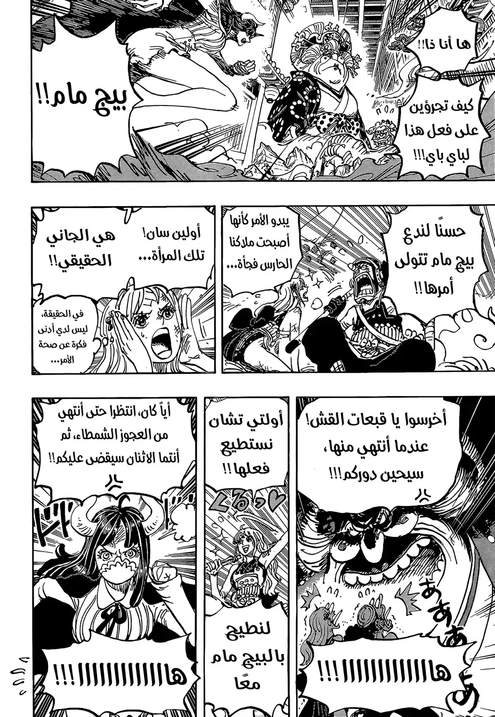 One Piece 1012 - نفاذ الصبر página 13