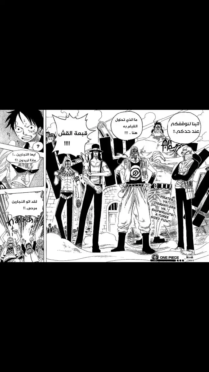 One Piece 336 - Luffy vs. Franky página 18