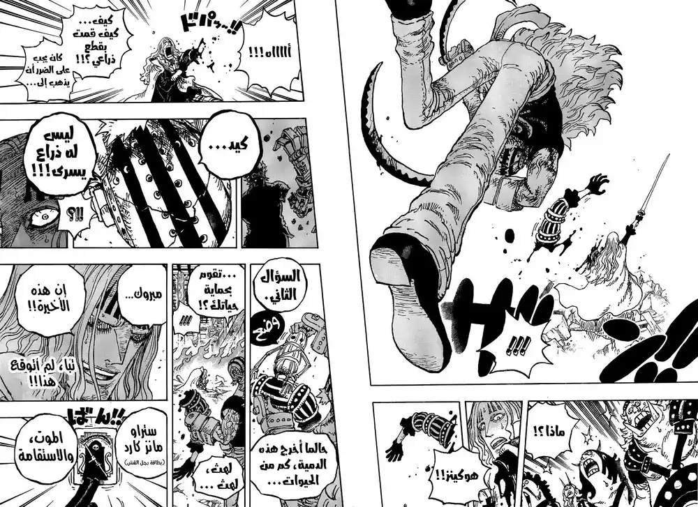 One Piece 1029 - البُرج página 13